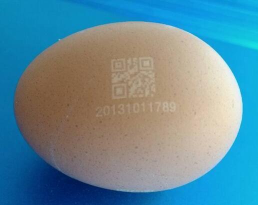 雞蛋上激光打標圖案 雞蛋上激光打標圖案